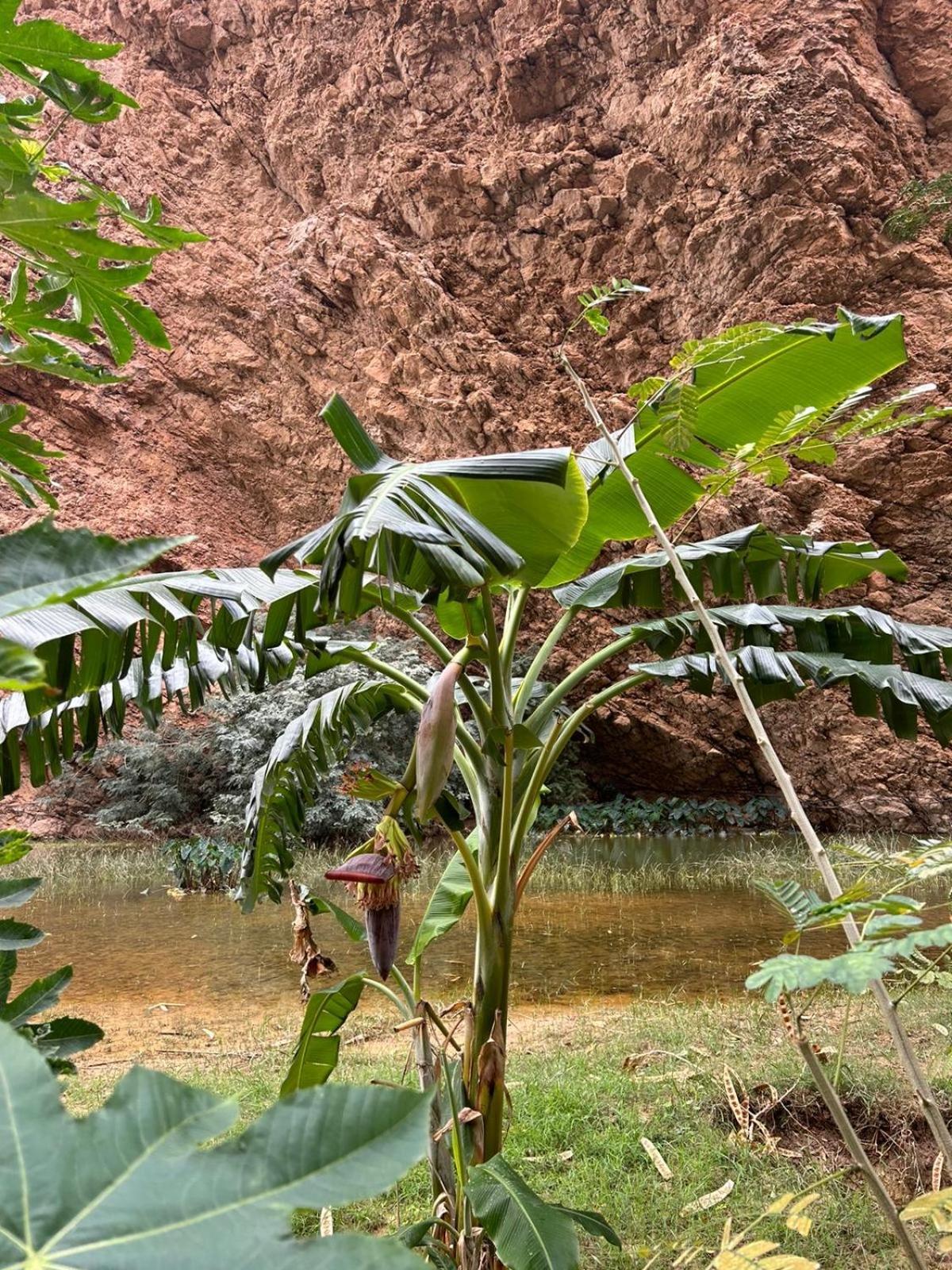 Atlas Wadi Shab 수르 외부 사진